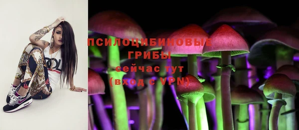 СК Арсеньев