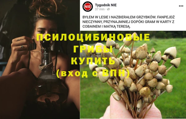 не бодяженный Армянск