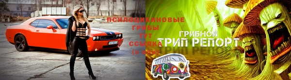таблы Аркадак